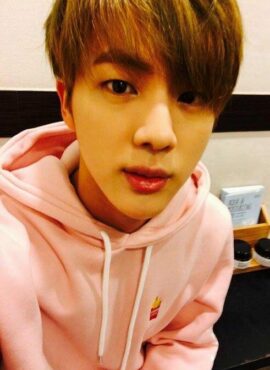 Pink Fries Hoodie | Jin - BTS