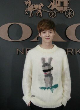 White Blind Rabbit Sweater | Luhan - EXO