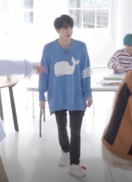 Blue Whale Sweater | Jin - BTS