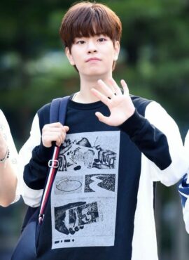 Black Cuff Long Sleeve Long Sleeves T-Shirt | Seungmin - Stray Kids