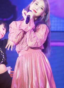 Pink Glittery Velvet Pleated Skirt | IU