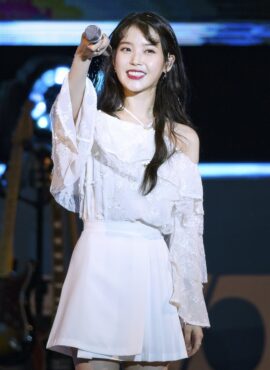 White Pleated Skirt | IU