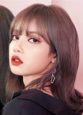 Silver Geometric Wind Earrings | Lisa - BlackPink