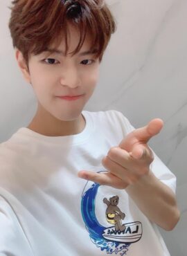 White Surfing Bear Print T-Shirt | Seungmin - Stray Kids