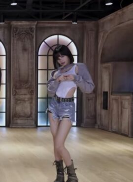 Grey Bolero Sweatshirt And Leotard Top | Lisa - BlackPink