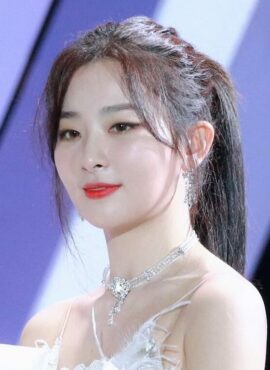 Silver Crystal Choker | Seulgi - Red Velvet