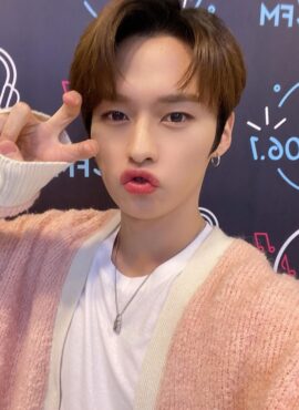 Pink Mohair Short Cardigan | LeeKnow - Stray Kids