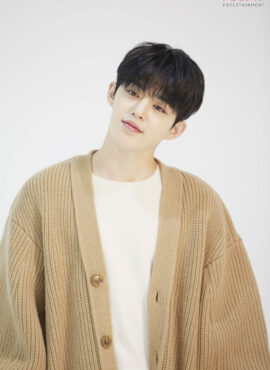 Light Brown Knitted Cardigan | S.Coups - Seventeen