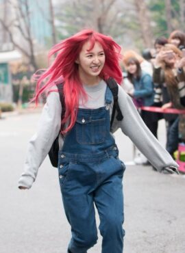 Navy Blue Denim Overall | Wendy - Red Velvet