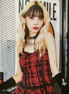 Red Plaid Gothic Dress | Yoohyeon - Dreamcatcher