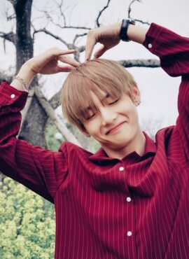 Red Stripe Collared Shirt | Taehyung - BTS