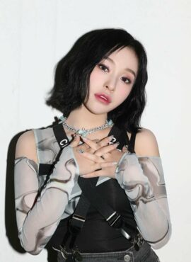 Silver Butterfly Chain Short Necklace | Gahyeon - Dreamcatcher