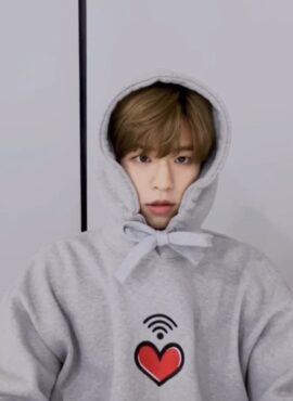 Grey Heart Printed Hoodie | Seungmin - Stray Kids