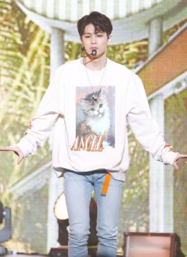 Beige Cat Painting Sweatshirt | Yunhyeong - iKON