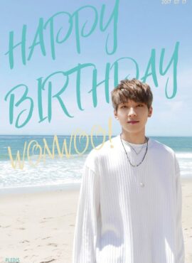 White Ribbed Long Sleeves T-Shirt | Wonwoo – Seventeen