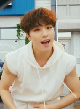 White Sleeveless Vest Hoodie | Dino - Seventeen