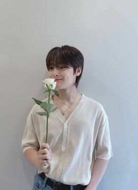 Beige Knitted Short Sleeve Cardigan | Jeongin - Stray Kids