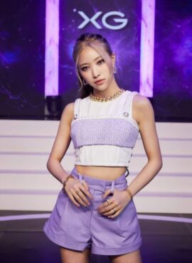 Lilac Tweed Crop Top | Maya - XG